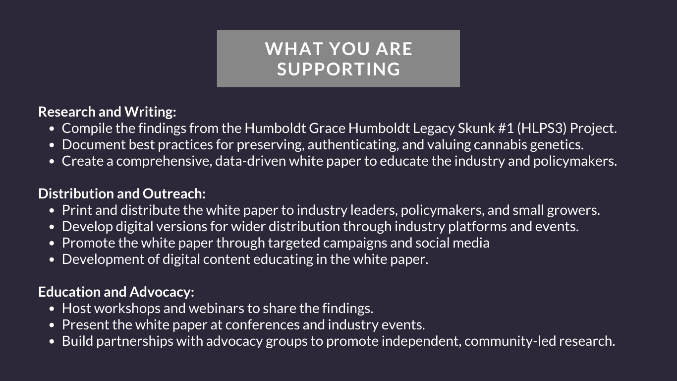 Fundraising Deck (Website) (9)